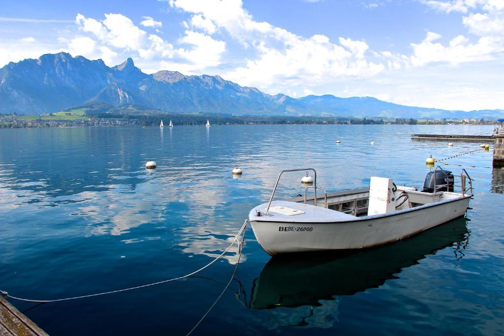 Hotel Restaurant Bellevue Au Thun